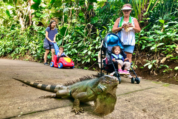 Mexico vs Costa Rica: Beach and Adventure Showdown