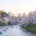 Complete Tokyo Travel Guide