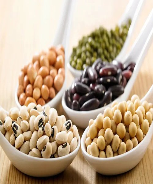 Option 4 Beans and Legumes