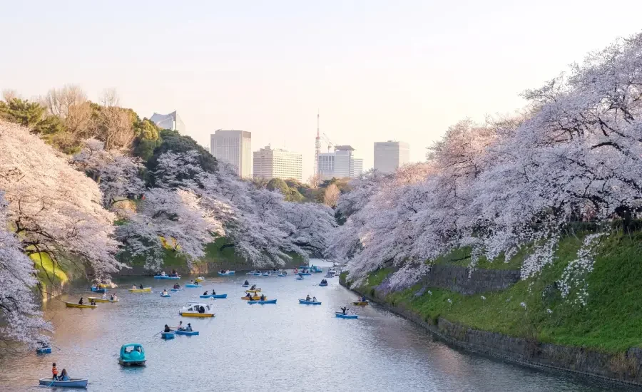 Complete Tokyo Travel Guide